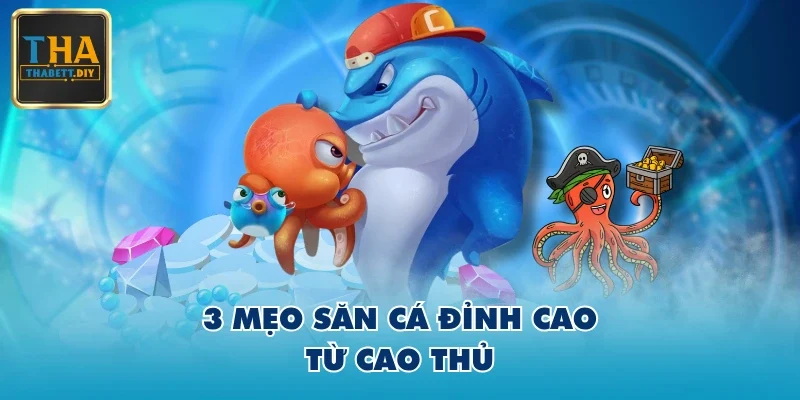 3 mẹo săn cá đỉnh cao từ cao thủ