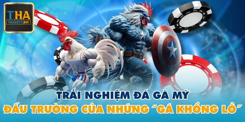 Đá gà Mỹ